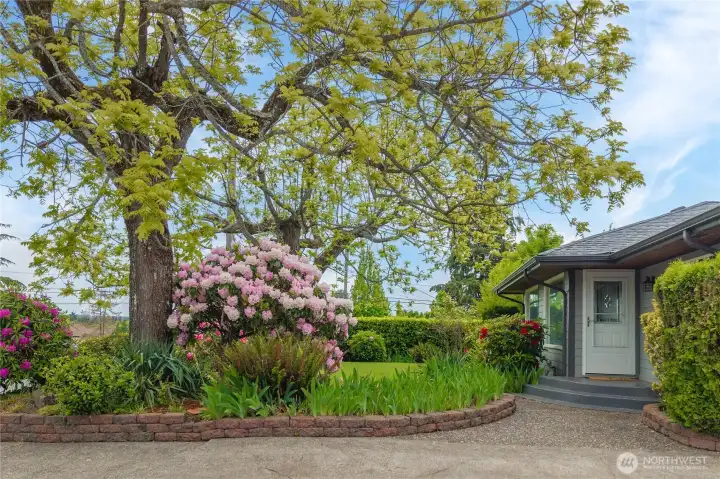Beautiful curb appeal Beautiful curb appeal