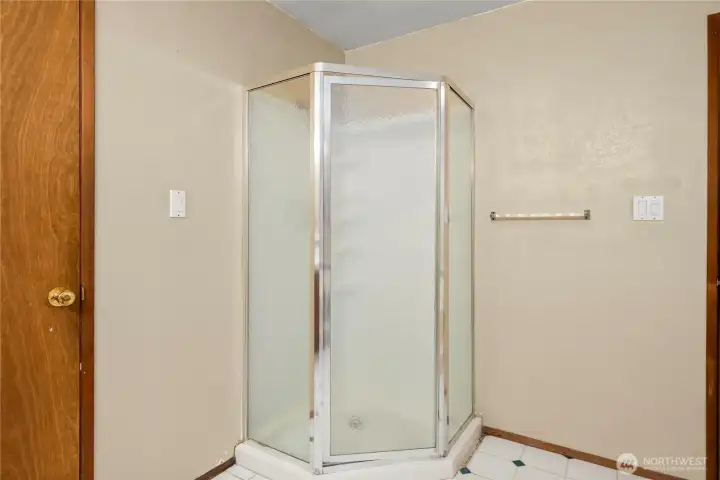 Primary shower Primary shower