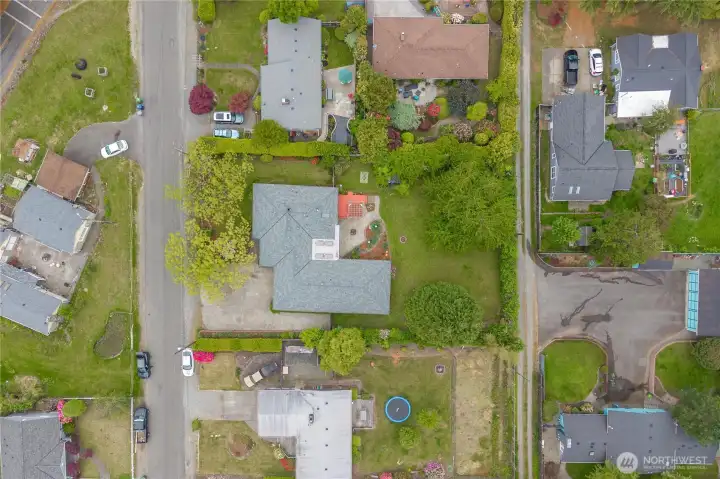 Large yard Large yard