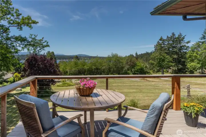 Expansive Trex deck w/ views
