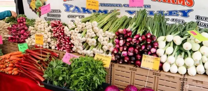 Enjoy fresh produce, food vendors, live music, and community at the Lakewood Farmers Market. Enjoy fresh produce, food vendors, live music, and community at the Lakewood Farmers Market.