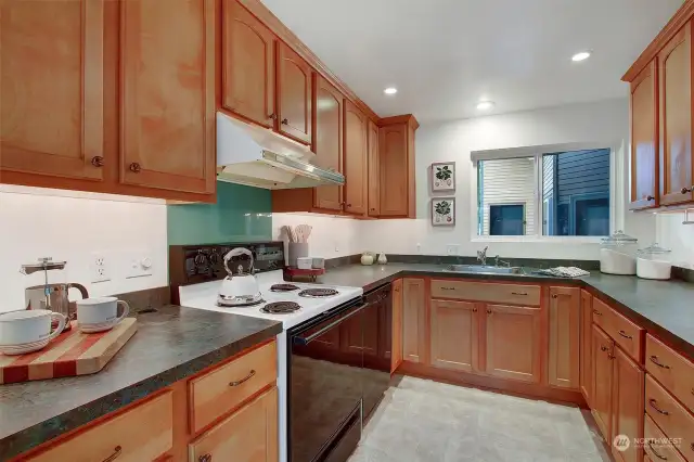 Maple cabinets, new garbage disposal, under cabinet lighting.