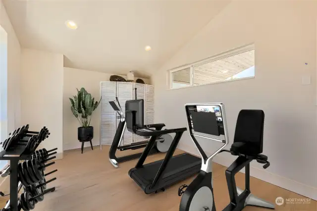 Home Gym option for flex room