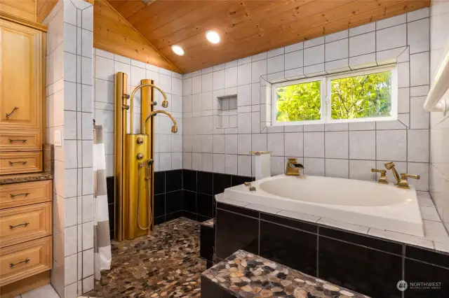 Shower and large tub in the primary bathroom