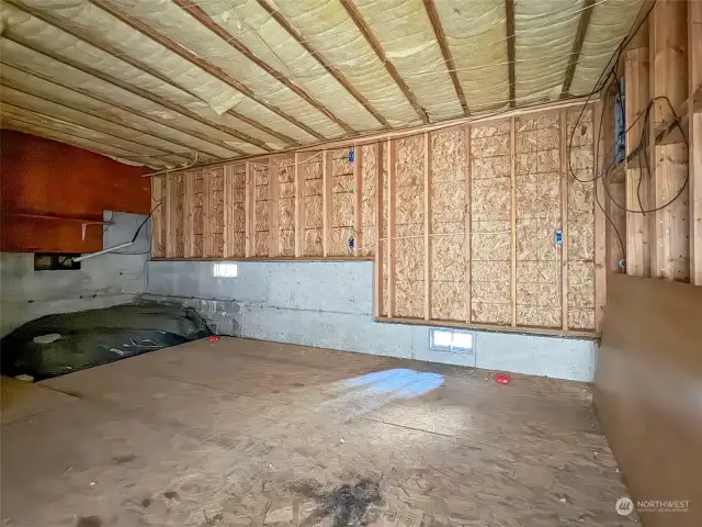 Unfinished basement