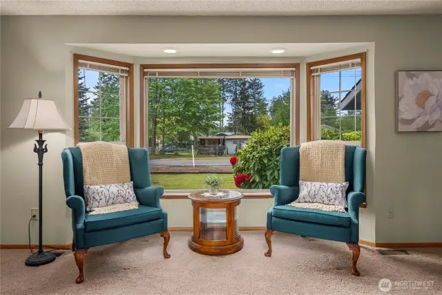 Bay window view of front yard in living room