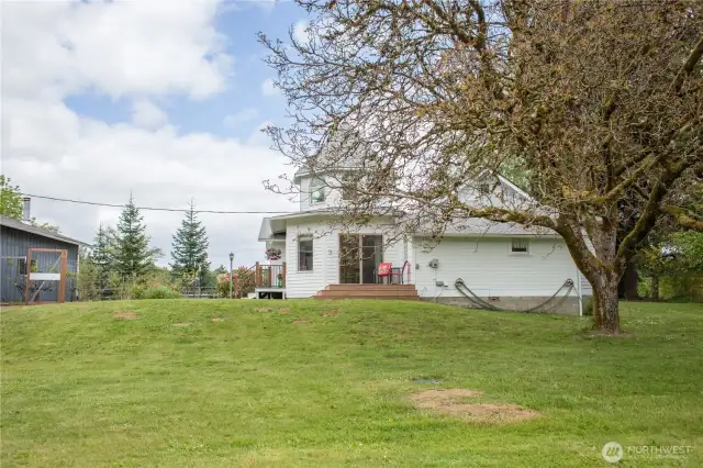 A large front lawn is ideal for summertime barbeques and all-around outdoor fun. There's even a tree where you can hang a swing.