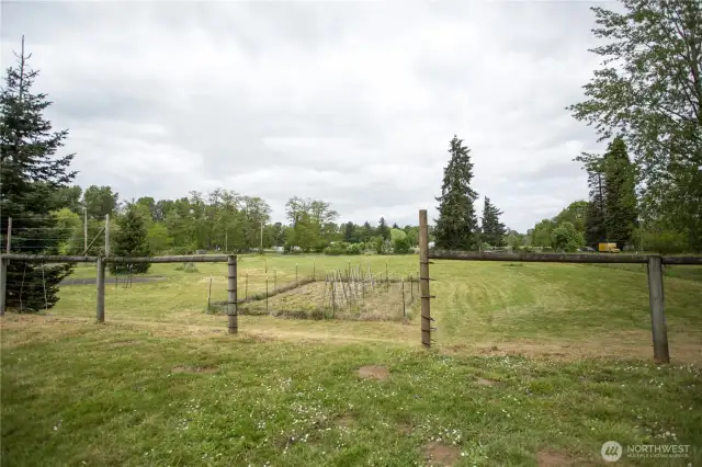 Established garden bed in the lower field.  This large plot is 35 x 50.  Lots of room to plant to your hearts content.  Perfect for farm to table living.