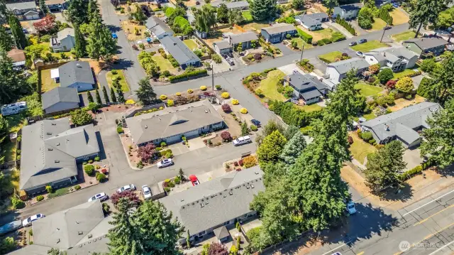 Full aerial view