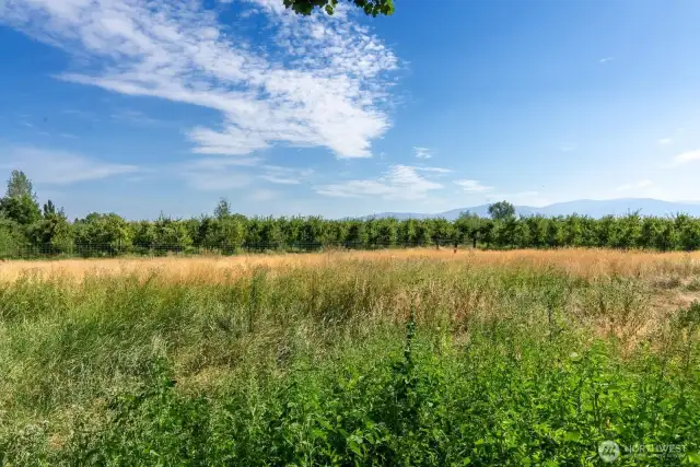 1 Acre lot is fenced and bordered by Orchard on 2 sides. Great pasture for stock. Fenced and cross fenced.