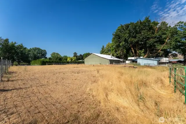 1 Acre looking from Pasture area nearest Orchard and fenced to Gate out to County road. Garage shop building and additional outbuildings.