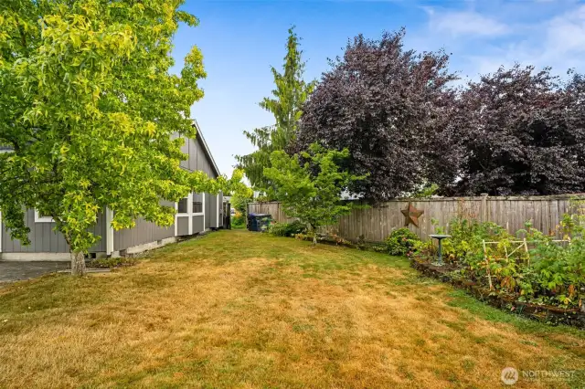 Garden space & several fruit trees add to the enjoyment of this large yard.
