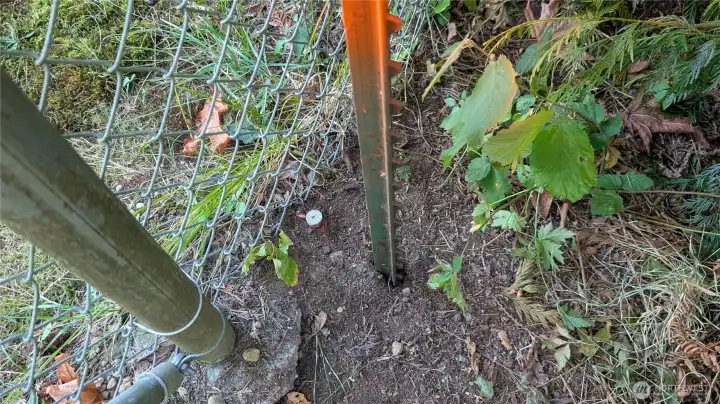 Survey stakes are there but not all have been searched out.