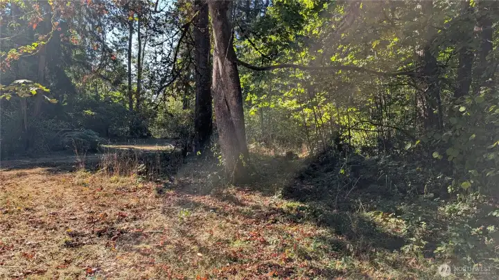 Great spot to build your secluded retreat.