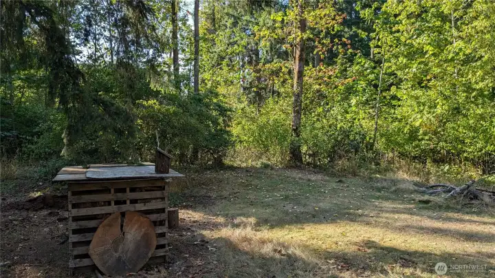 Back portion. NW corner area.