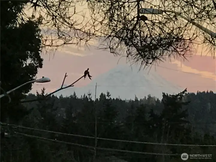 potential view from second story and rooftop deck. Buyer to verify.