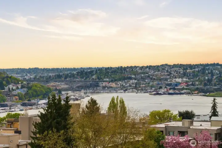 Catch fireworks on July 4th over Lake Union and watch seaplanes take flight, right from the comfort of home.