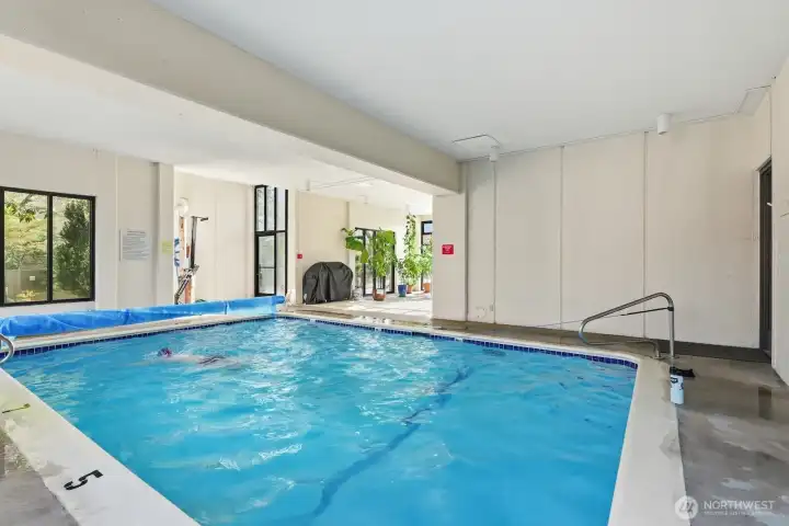 The Shannon offers great amenities for its residents, including this indoor heated pool!