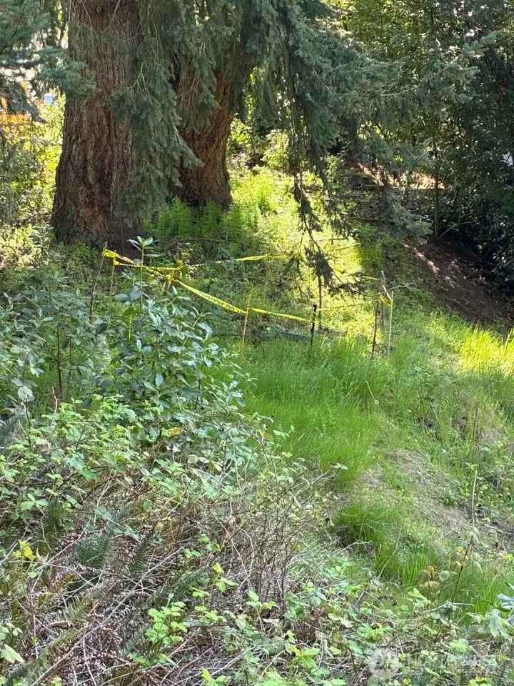 Old well area marked off