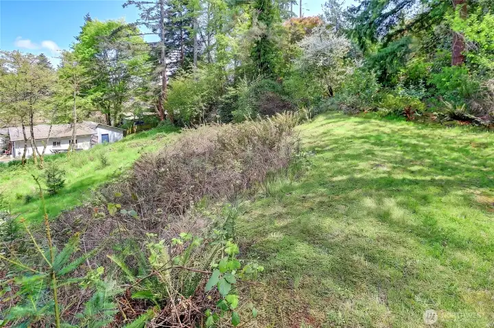 Gentle slope to parcel#3.