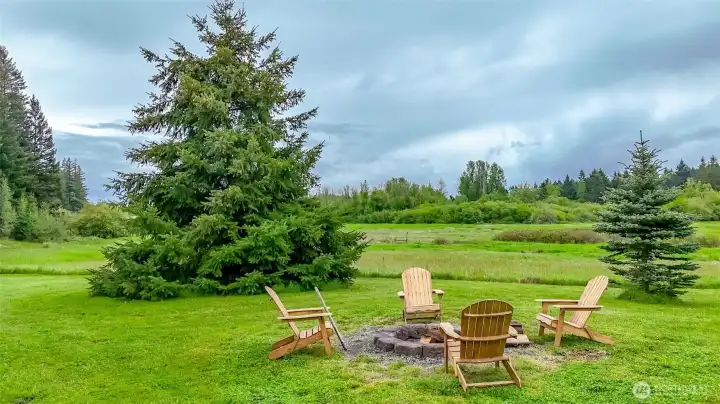 Firepit in Backyard