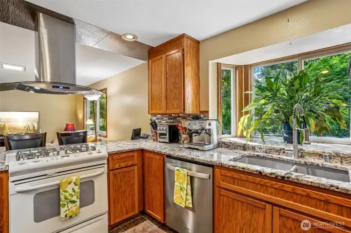A kitchen window that makes doing dishes feel slightly less offensive ??
