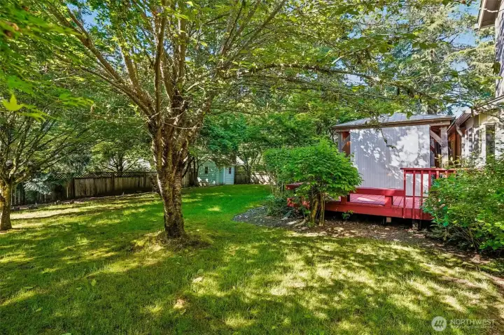 Backyard goals: shade trees, garden space, and enough room to pretend you’re “going outside more this summer.”