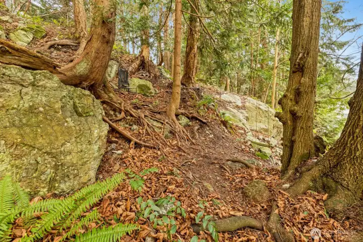 The absolute perfect forest retreat in your backyard ..