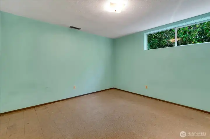 Another bonus finished room downstairs