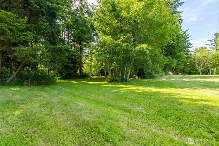 Beautiful, park-like property! This area is just off the back patio. Beautiful, park-like property! This area is just off the back patio.