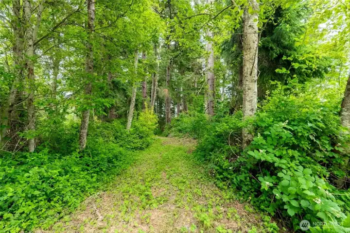Enjoy exploring your park-like 4.65 acres. Enjoy exploring your park-like 4.65 acres.