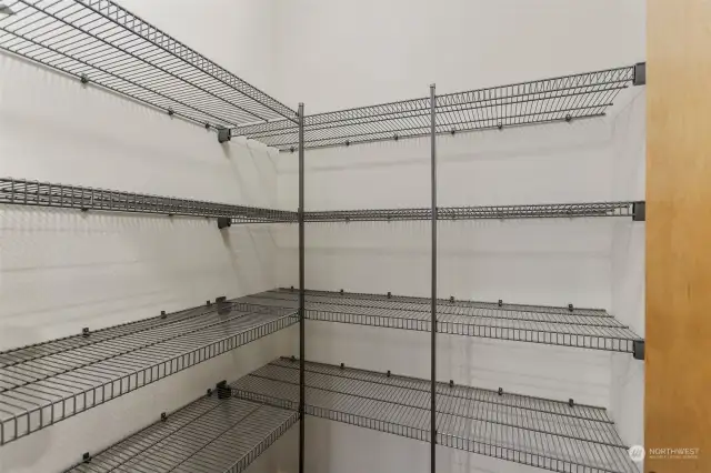 Walk-in pantry with ample shelves.