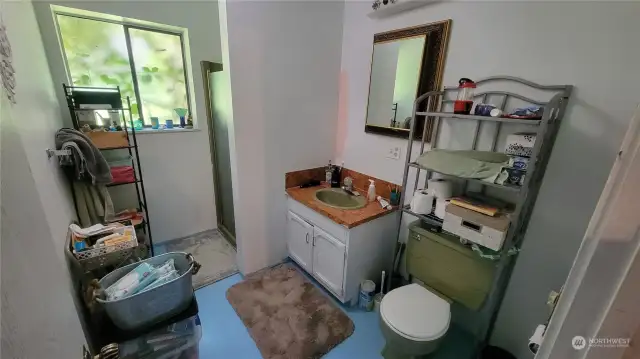 Downstairs Bathroom