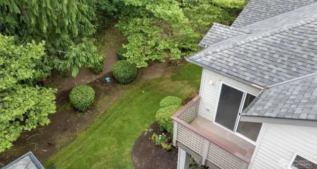 Ariel View