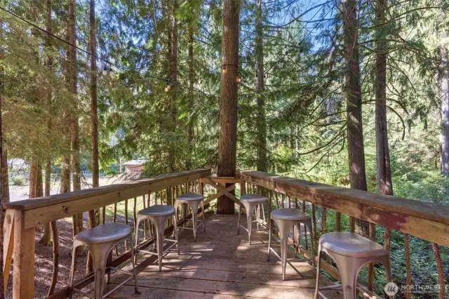 Treehouse Deck with bar-top.