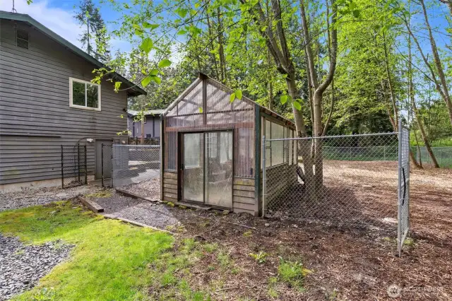 Greenhouse & Dog Run area