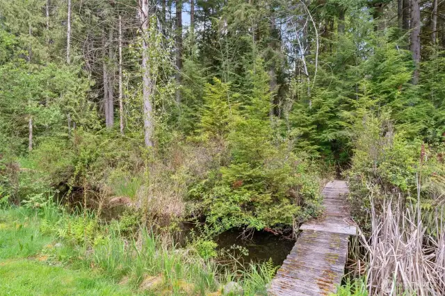 Pond area