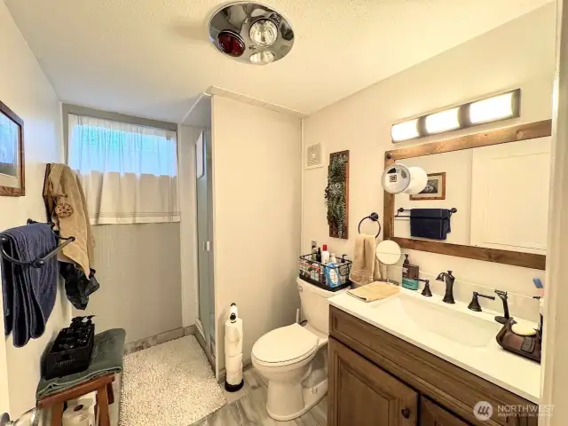 lower level bathroom