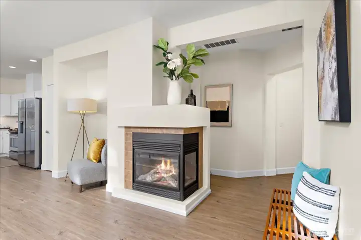 Gas fireplace