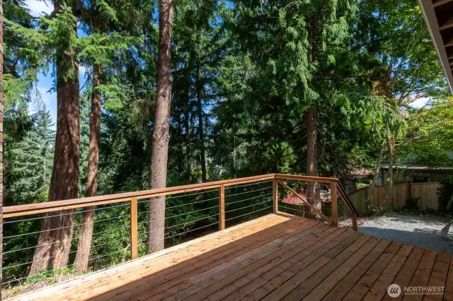 BACK DECK WHICH HAVE ACCESS DOORS FROM BOTH DINING AND FAMILY ROOMS