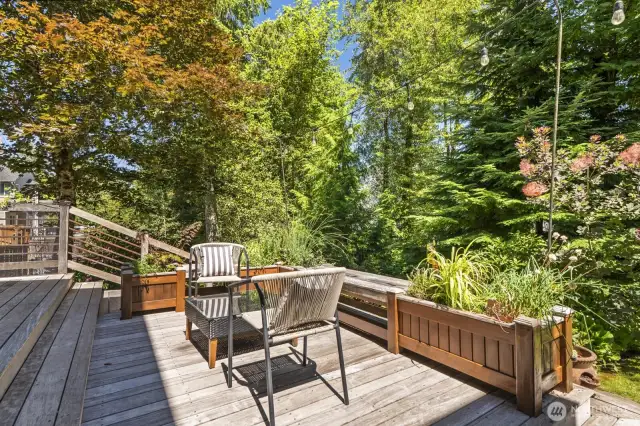 One level of this multi-level ironwood deck provides a spot to soak in the sun, listen to the sounds of the creek and enjoy the privacy of your backyard thanks to the abundance of large trees encompassing your property.