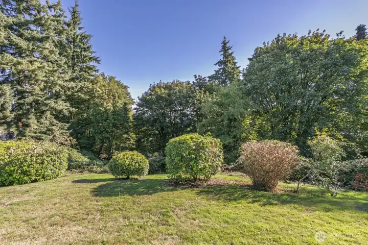 another view of park area in front of unit.