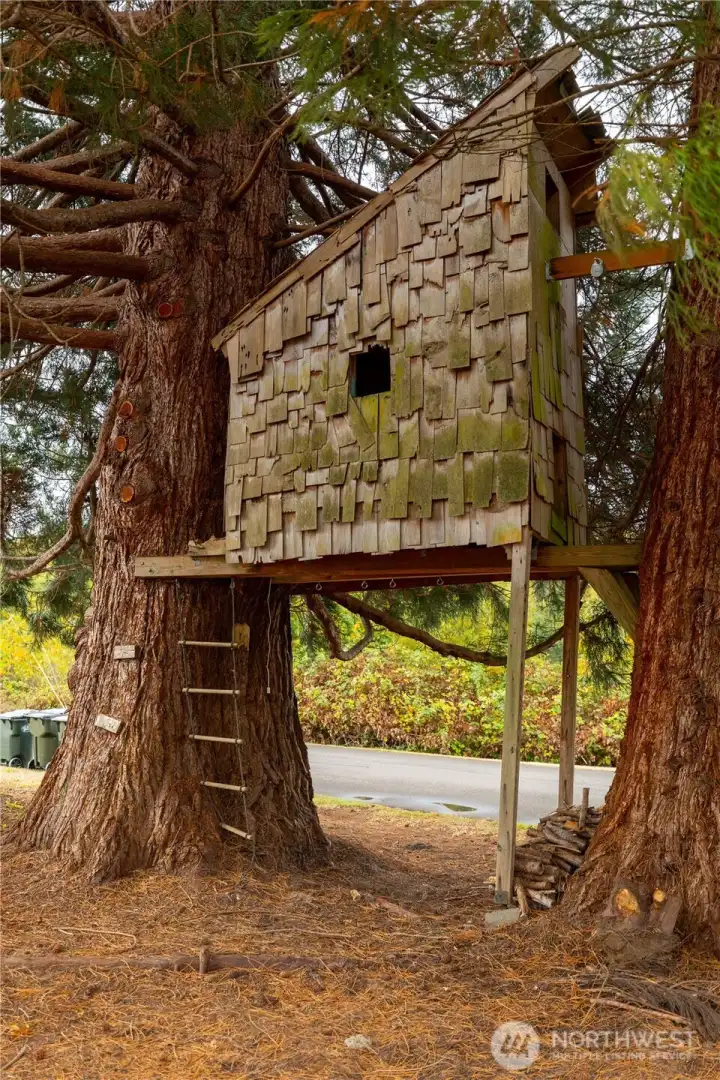 Treehouse on the lot.