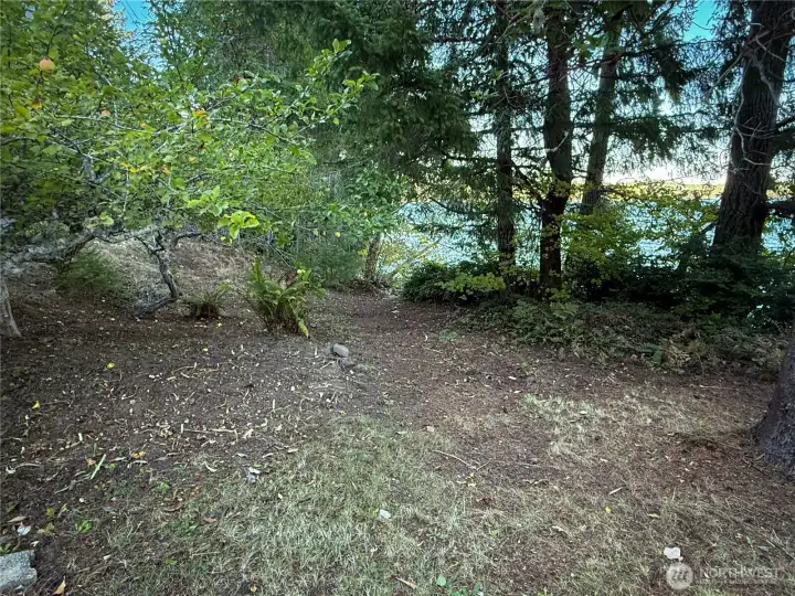 View of the north side of the property (north steps down to the water access)