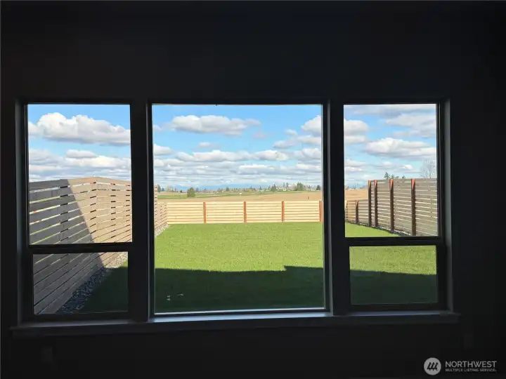 View of subject property backyard from the living room