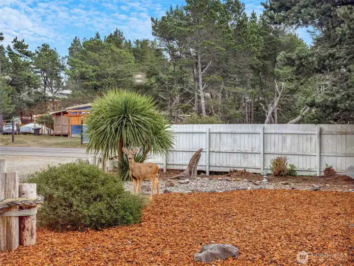 Beautifully landscaped and fenced property rightoutside of Surfside. Enjoy the location without the HOA.