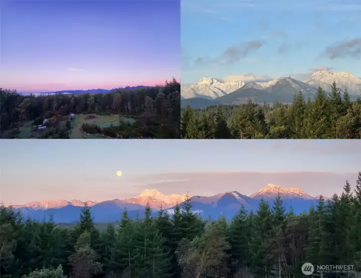 Stunning Views Year-Round!