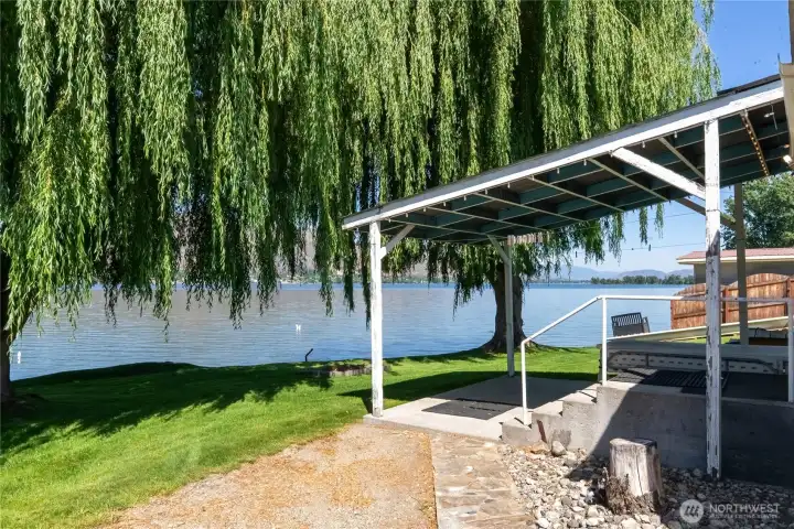 Mature Shade trees