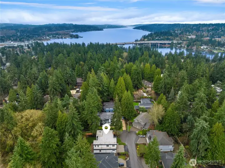 All in the heart of Bellevue.