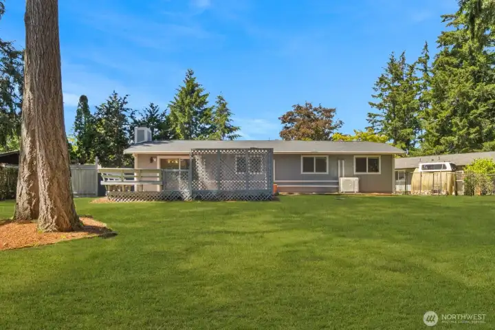 Oversized backyard